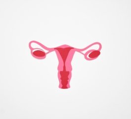 Cerclagem Uterina: Tudo Que Você Precisa Saber para uma Gestação Segura e Saudável!