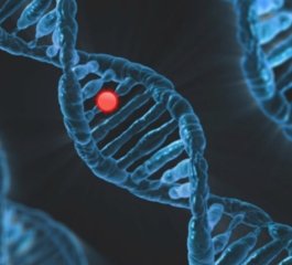 Vacinação preventiva contra a cólera é retomada no mundo; Moçambique inaugura nova fase