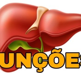 Descubra a Função do Fígado: 7 Segredos que Transformam sua Saúde!