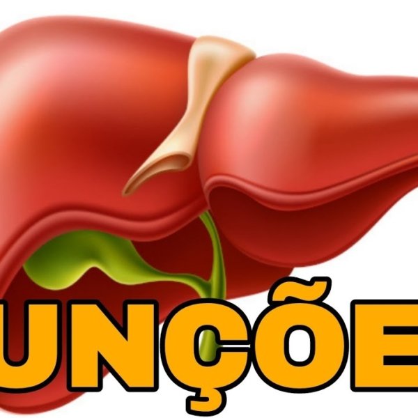 funçao do fígado