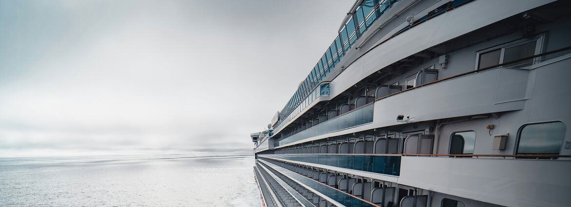 ONU reforça apelo por cooperação internacional após novo surto de hantavírus em navio de cruzeiro - Imagem do artigo original