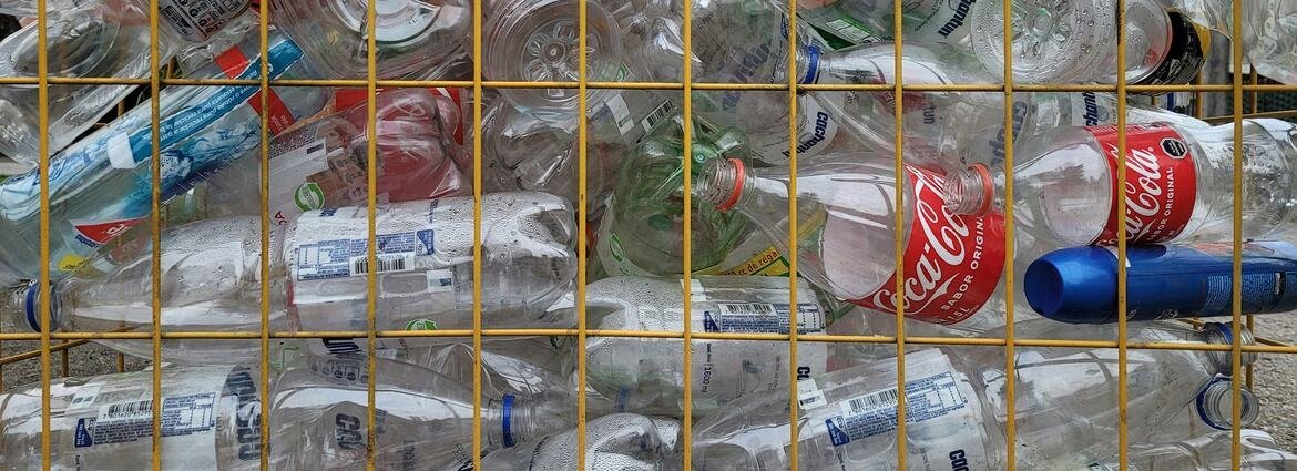 FAO aponta desafios para garantir segurança de alimentos em embalagens de plástico reciclado - Imagem do artigo original