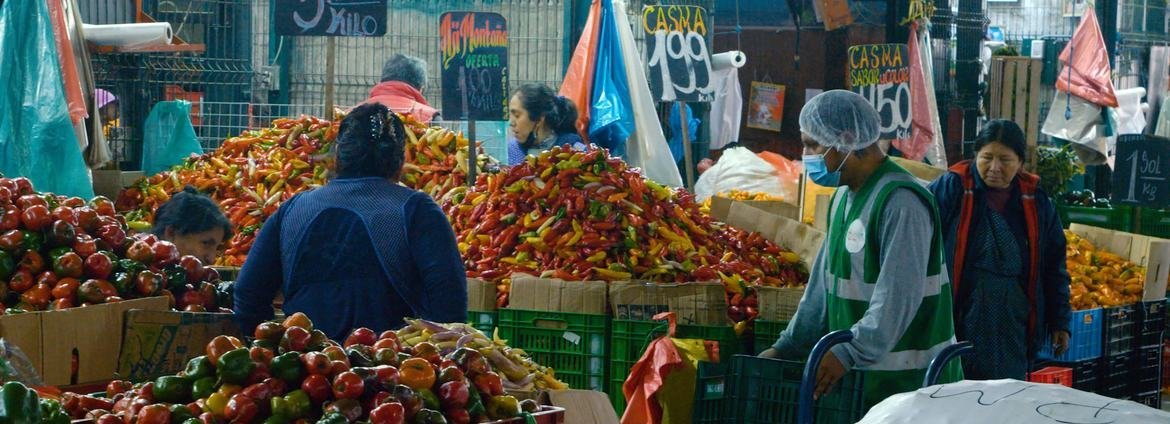 OMS aponta 1,5 milhão de mortes anuais por alimentos contaminados - Imagem do artigo original