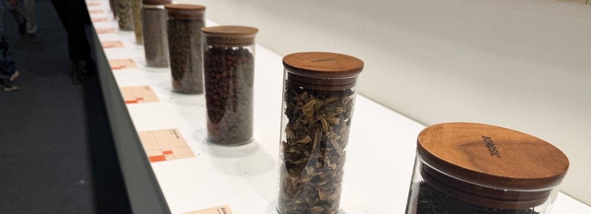 OMS promove workshop em Macau para reforçar qualidade e segurança da medicina tradicional - Imagem do artigo original